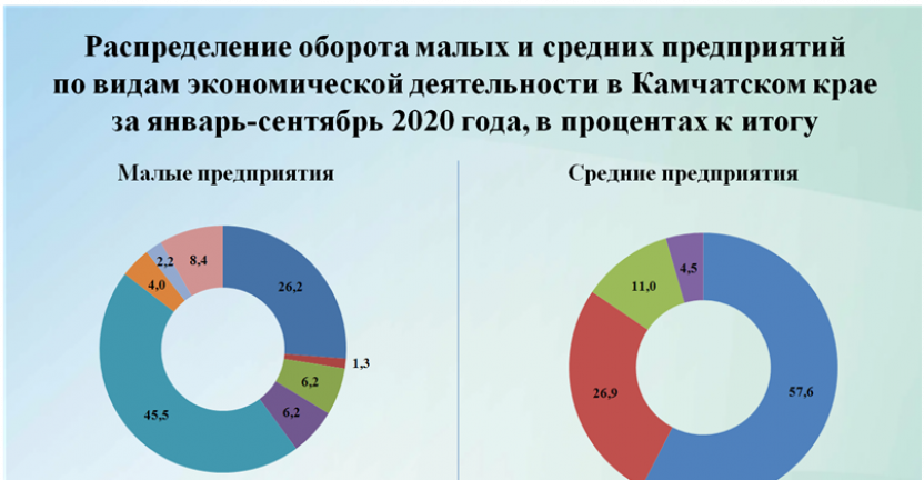 Распределение оборота малых и средних предприятий по видам экономической деятельности в Камчатском крае за январь-сентябрь 2020 года